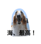 ぼくのパンは海（個別スタンプ：5）