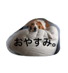 ぼくのパンは海（個別スタンプ：8）