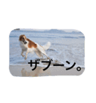 ぼくのパンは海（個別スタンプ：11）
