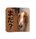 ぼくのパンは海（個別スタンプ：13）