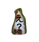 ぼくのパンは海（個別スタンプ：14）
