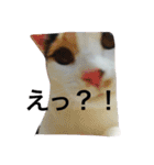 るのちゃんとりおちゃん（個別スタンプ：2）