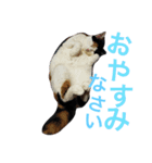 るのちゃんとりおちゃん（個別スタンプ：5）
