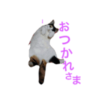 るのちゃんとりおちゃん（個別スタンプ：6）