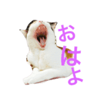 るのちゃんとりおちゃん（個別スタンプ：9）