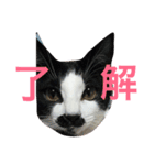 るのちゃんとりおちゃん（個別スタンプ：10）