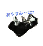 うちのチワワあずちゃん2（個別スタンプ：6）