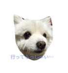 スピッツのみきお（個別スタンプ：3）