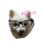 スピッツのみきお（個別スタンプ：7）