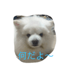 スピッツのみきお（個別スタンプ：9）