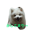 スピッツのみきお（個別スタンプ：11）