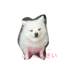 スピッツのみきお（個別スタンプ：14）