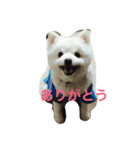 スピッツのみきお（個別スタンプ：15）