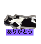 ドンとハナ（個別スタンプ：2）