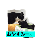 ドンとハナ（個別スタンプ：7）