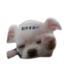 イロハの一人言（個別スタンプ：3）