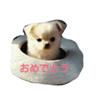 イロハの一人言（個別スタンプ：7）