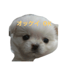 イロハの一人言（個別スタンプ：10）