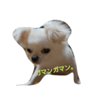 イロハの一人言（個別スタンプ：13）