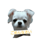 イロハの一人言（個別スタンプ：16）