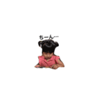 古賀sister（個別スタンプ：3）
