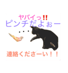 アキクサのぴーことコザクラのさくら（個別スタンプ：7）