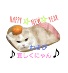ヌクメンわさび（個別スタンプ：2）