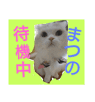 ヌクメンわさび（個別スタンプ：3）