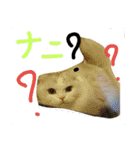 ヌクメンわさび（個別スタンプ：4）