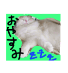 ヌクメンわさび（個別スタンプ：5）