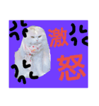 ヌクメンわさび（個別スタンプ：7）
