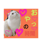 ヌクメンわさび（個別スタンプ：8）