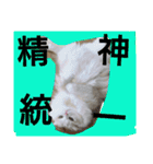 ヌクメンわさび（個別スタンプ：10）
