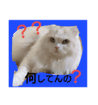 ヌクメンわさび（個別スタンプ：11）