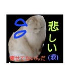 ヌクメンわさび（個別スタンプ：12）