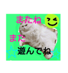 ヌクメンわさび（個別スタンプ：14）