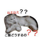 ヌクメンわさび（個別スタンプ：15）
