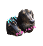 milk＆lemon（個別スタンプ：3）