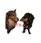 milk＆lemon（個別スタンプ：5）