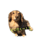 milk＆lemon（個別スタンプ：14）