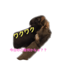 milk＆lemon（個別スタンプ：15）