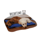 my dogs    Leo and L（個別スタンプ：6）