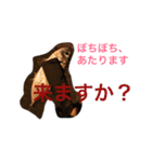 魚釣りに使えるスタンプ（個別スタンプ：1）