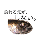 魚釣りに使えるスタンプ（個別スタンプ：2）