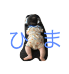 mu＆su＆ko（個別スタンプ：15）