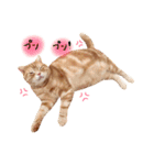 ねこのごんぞう（個別スタンプ：18）
