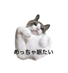 変猫（個別スタンプ：4）