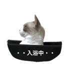 変猫（個別スタンプ：15）