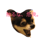 小梅。（個別スタンプ：3）