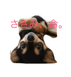 小梅。（個別スタンプ：4）